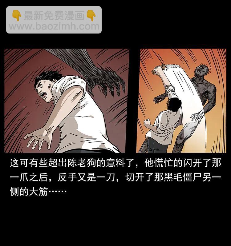 231 东海木龙25