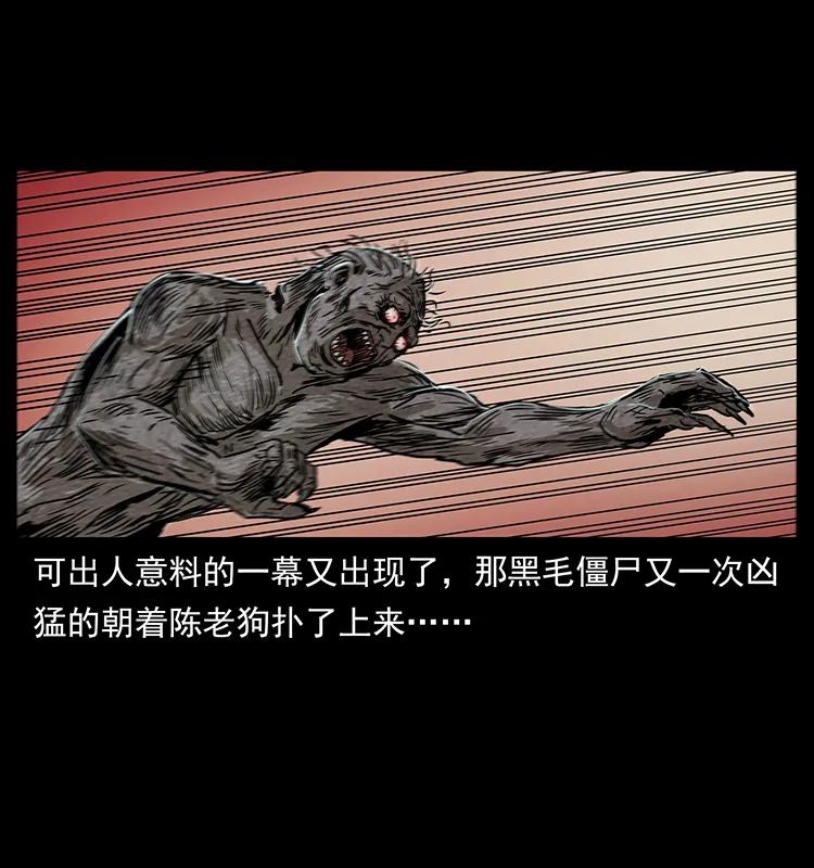 231 东海木龙27