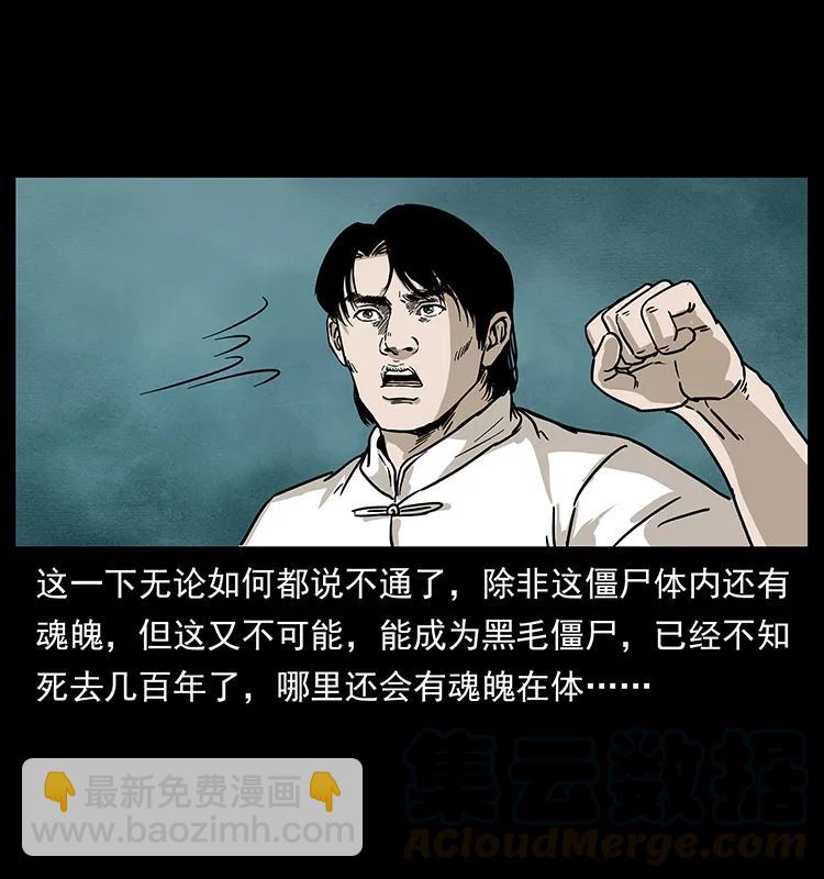 231 东海木龙28