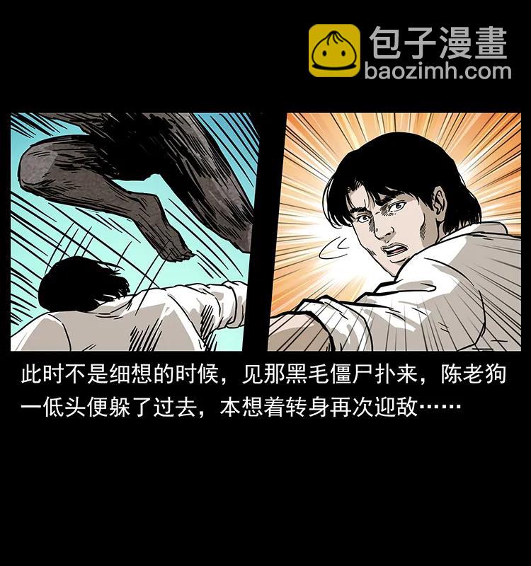 231 东海木龙29