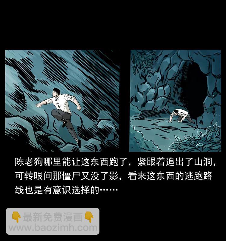 231 东海木龙31