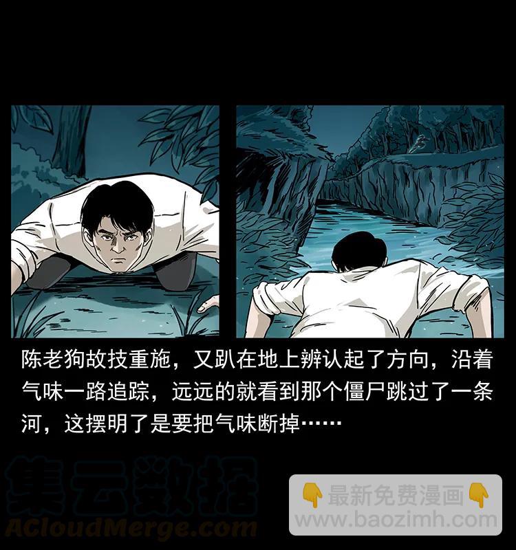 231 东海木龙32