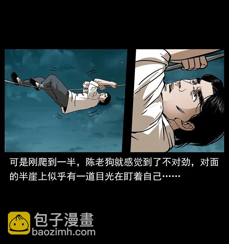 231 东海木龙35