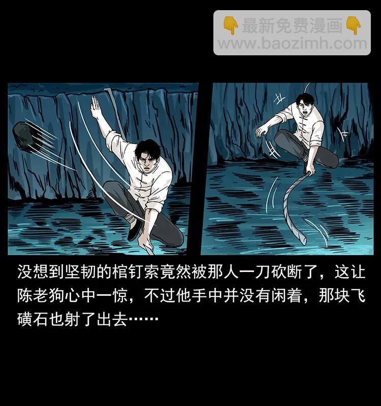 231 东海木龙41