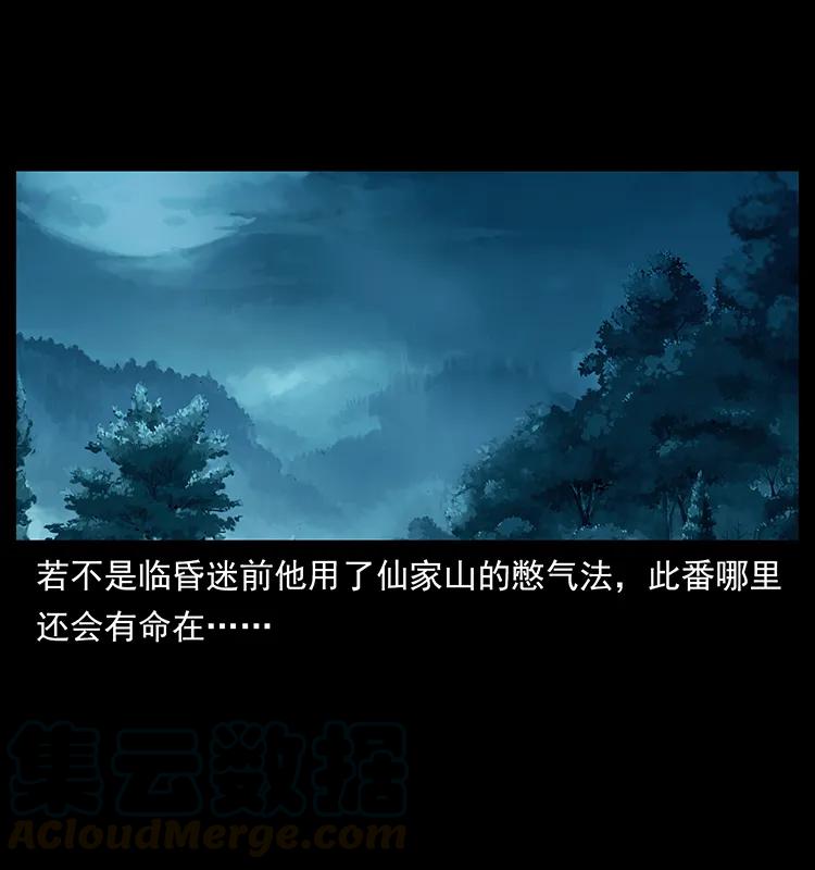 231 东海木龙48