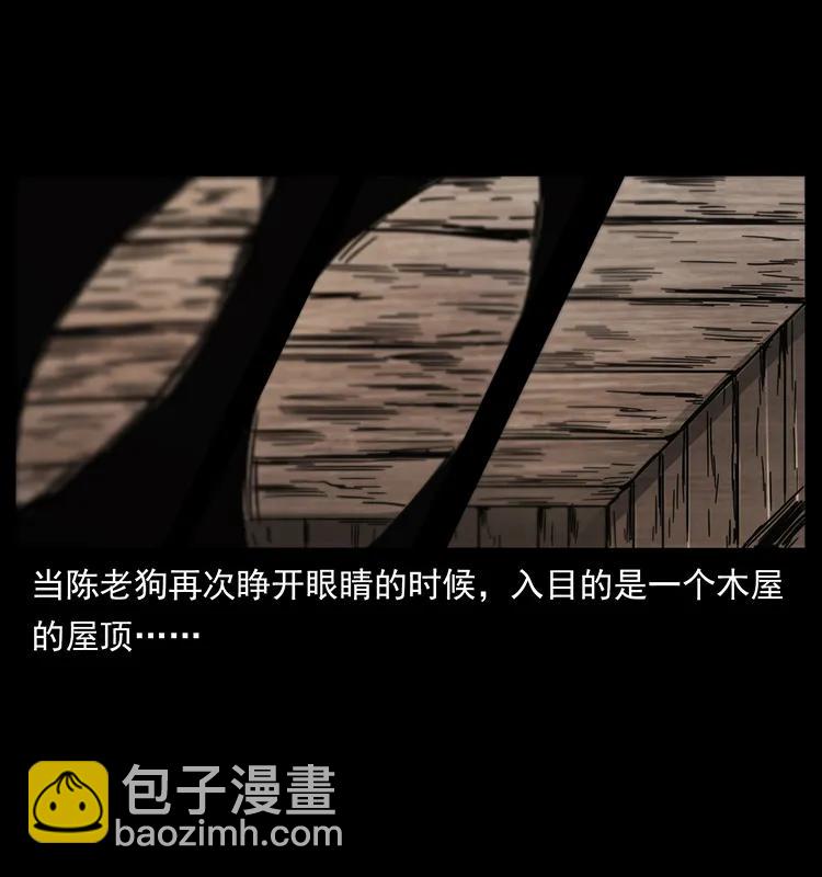 231 东海木龙53