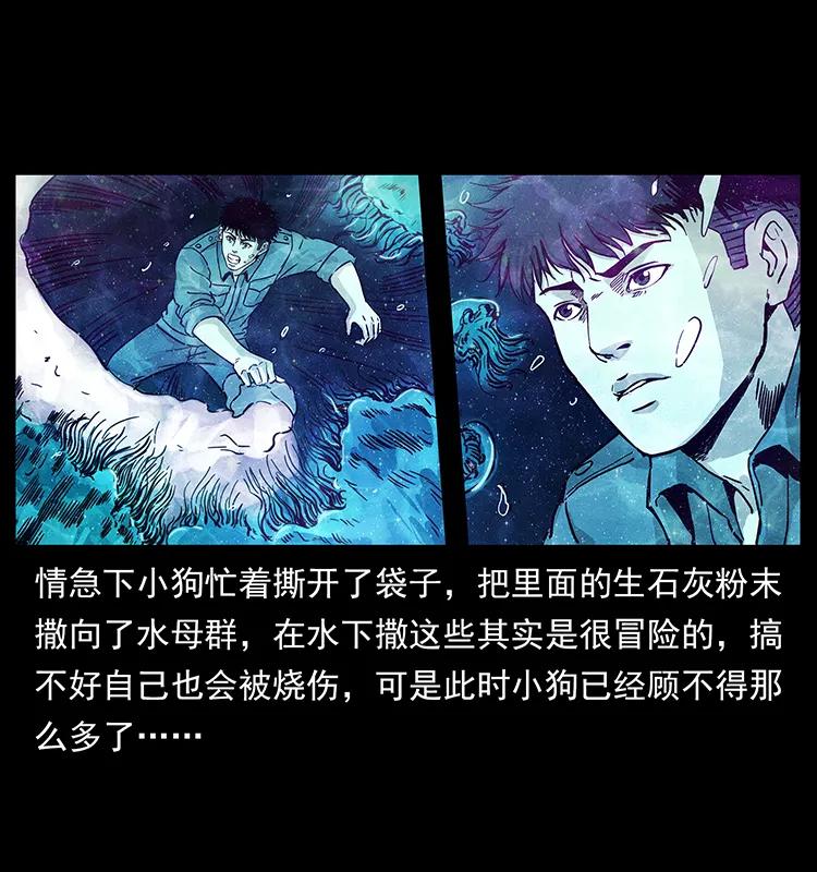 240 意外频发的诱捕23