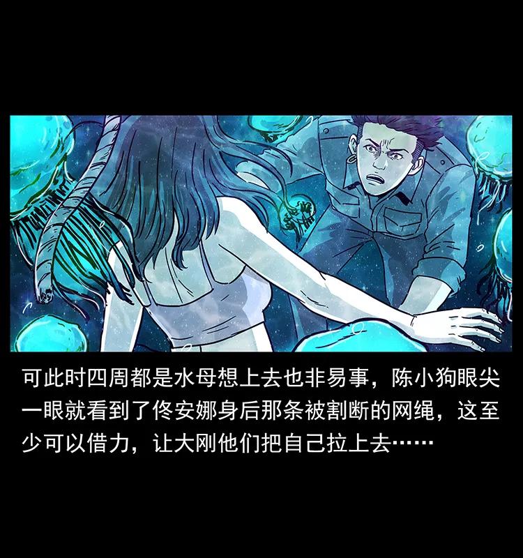 240 意外频发的诱捕27