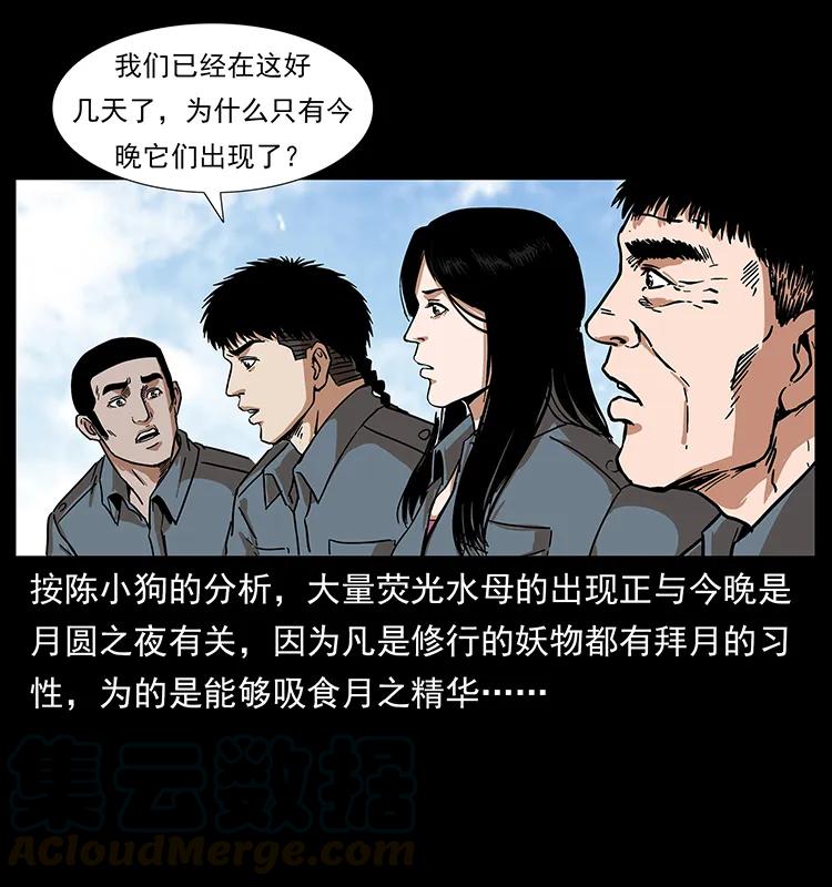 240 意外频发的诱捕60