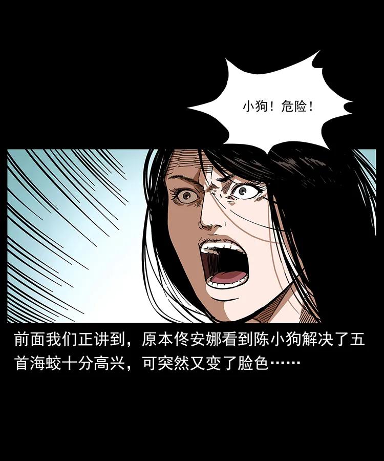 242 陈小狗失算了1