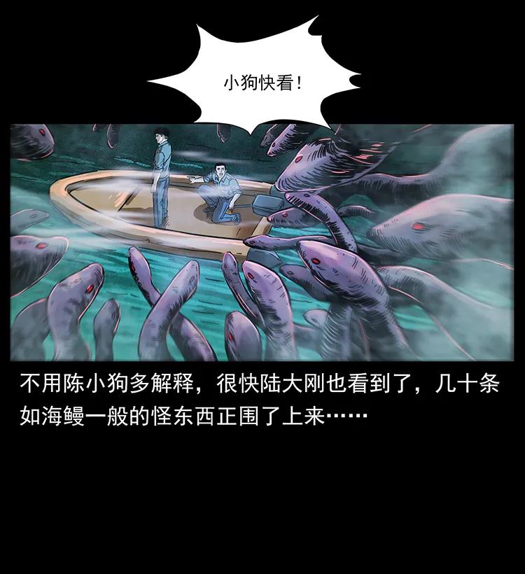 242 陈小狗失算了19