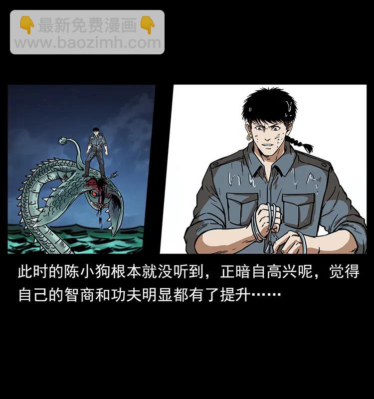 242 陈小狗失算了3