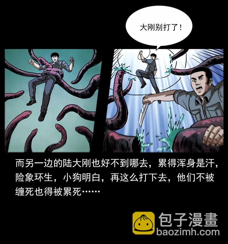 242 陈小狗失算了31