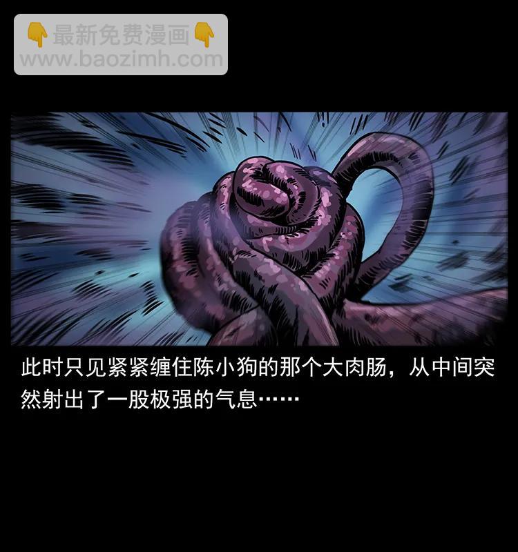 242 陈小狗失算了41