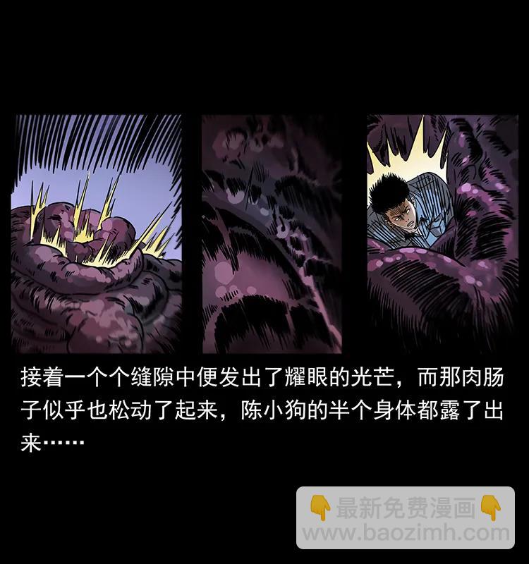 242 陈小狗失算了42
