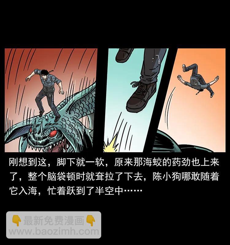 242 陈小狗失算了7