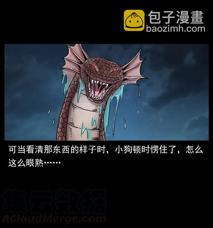 242 陈小狗失算了80
