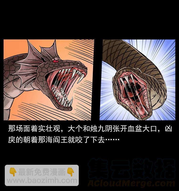 243 大战海阎王8