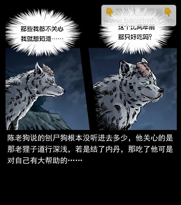 250 走失79