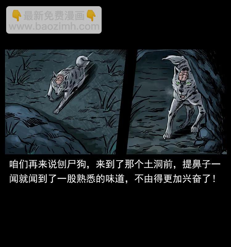 250 走失83