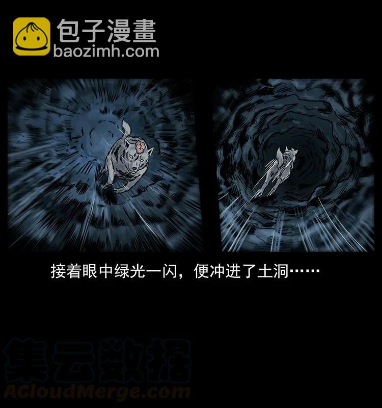 250 走失84