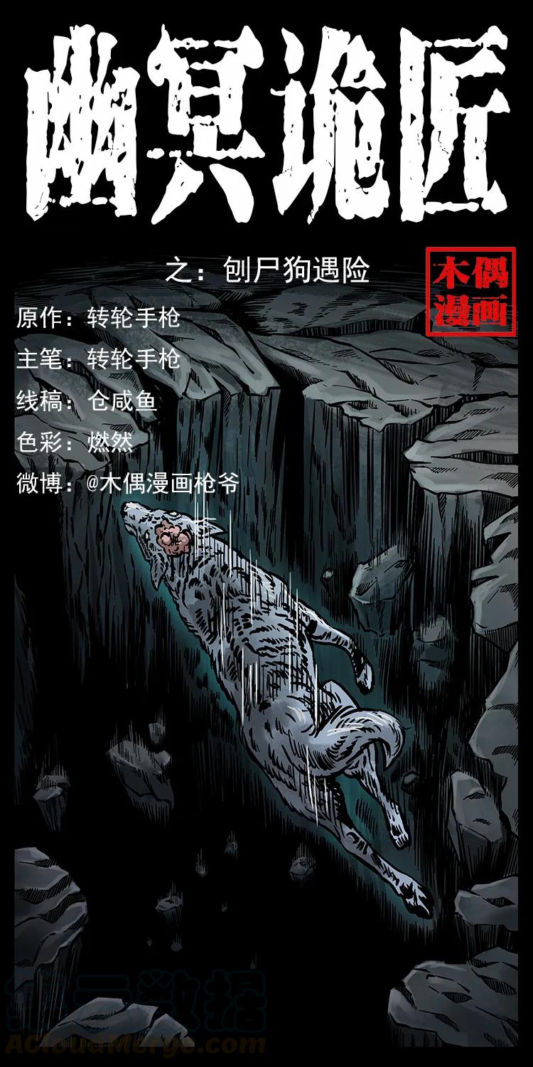 251 刨尸狗遇险0