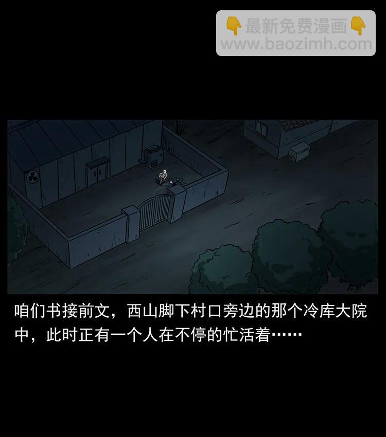251 刨尸狗遇险1