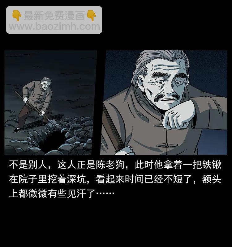 251 刨尸狗遇险2