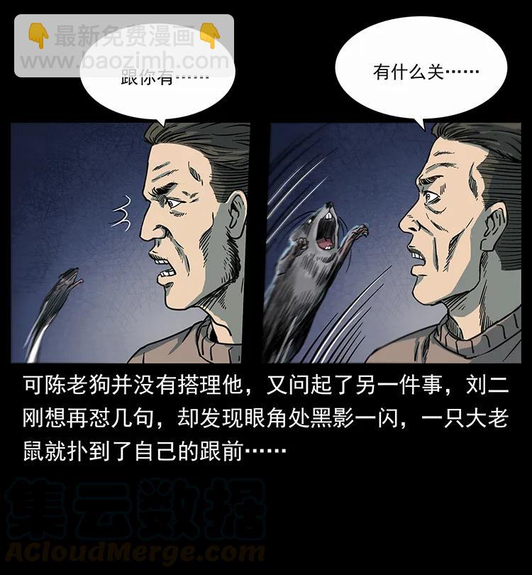 251 刨尸狗遇险20