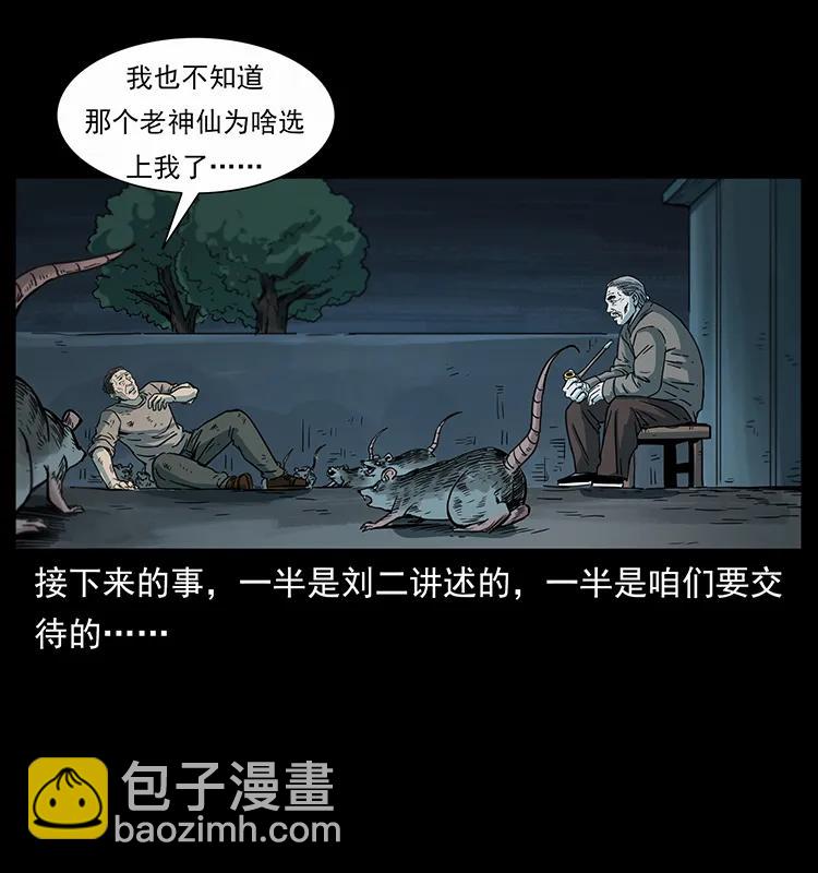 251 刨尸狗遇险26