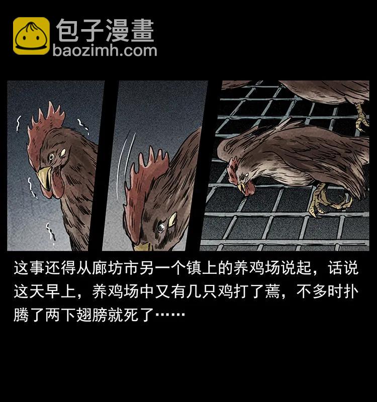 251 刨尸狗遇险27