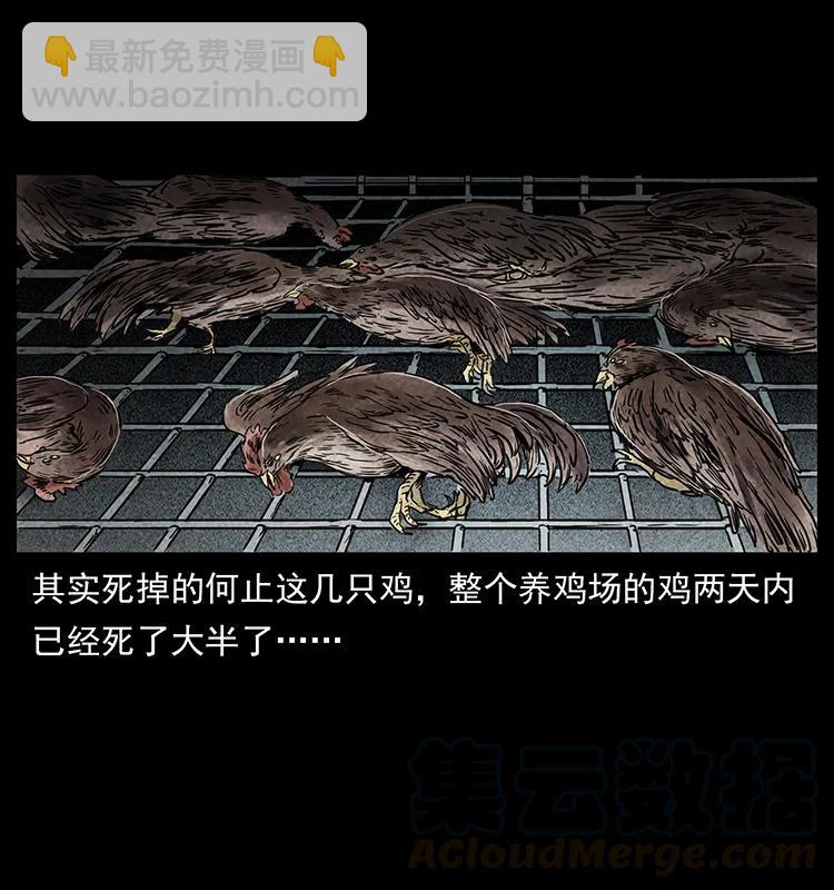 251 刨尸狗遇险28