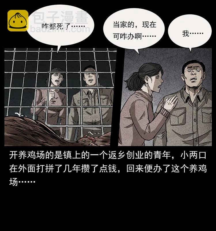 251 刨尸狗遇险29