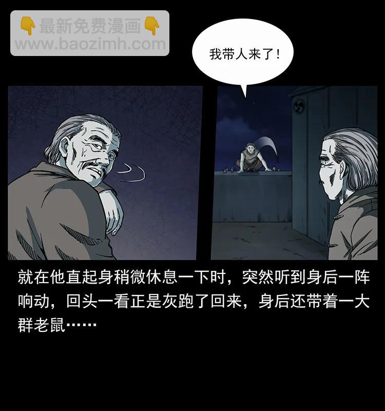 251 刨尸狗遇险3
