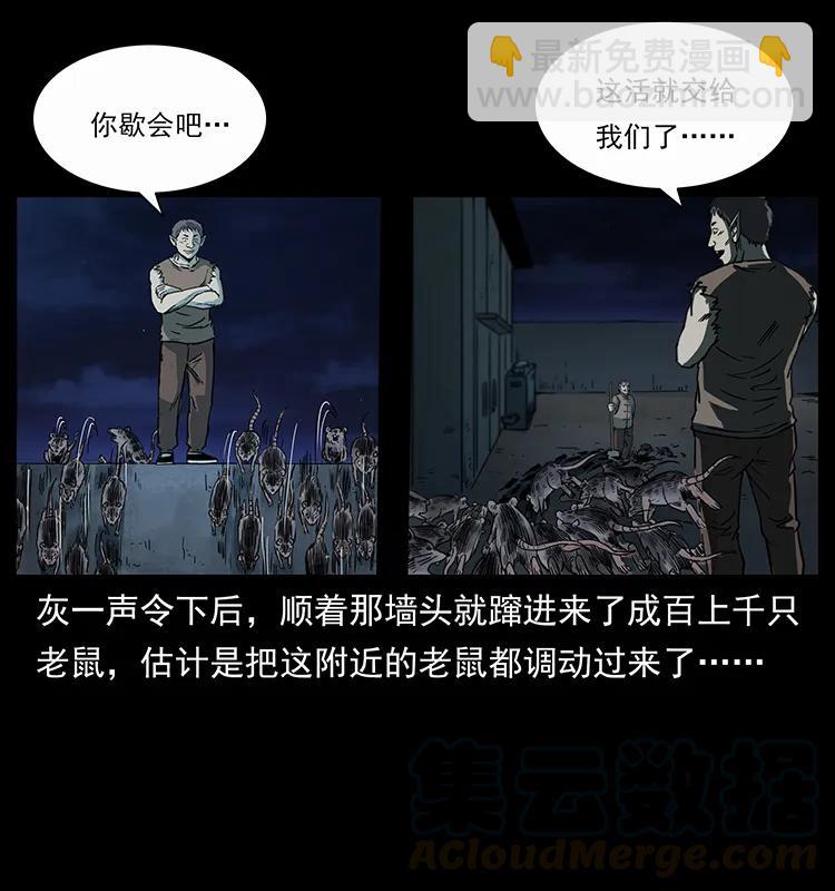 251 刨尸狗遇险4
