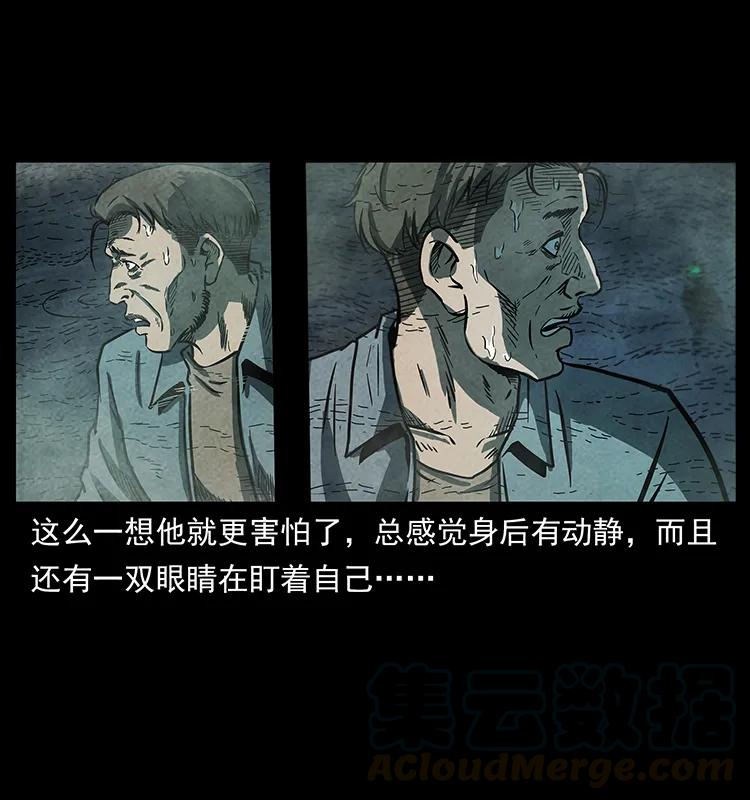 251 刨尸狗遇险44