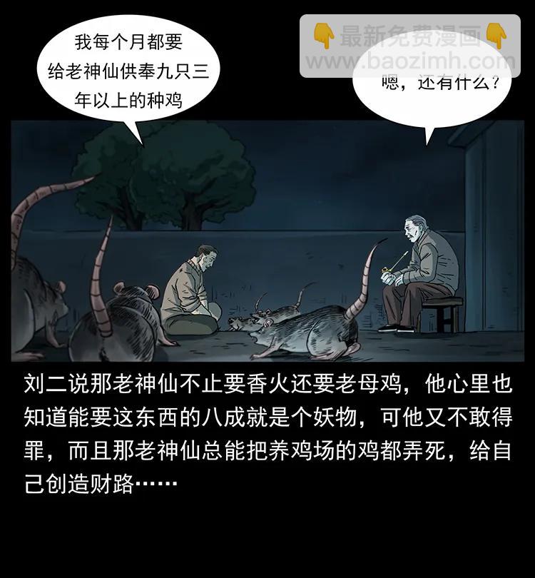 251 刨尸狗遇险61