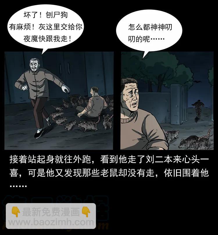 251 刨尸狗遇险64