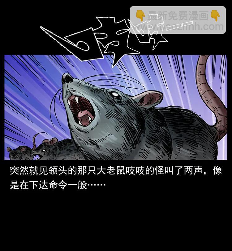 251 刨尸狗遇险66