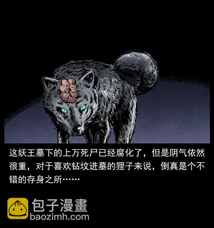 251 刨尸狗遇险70