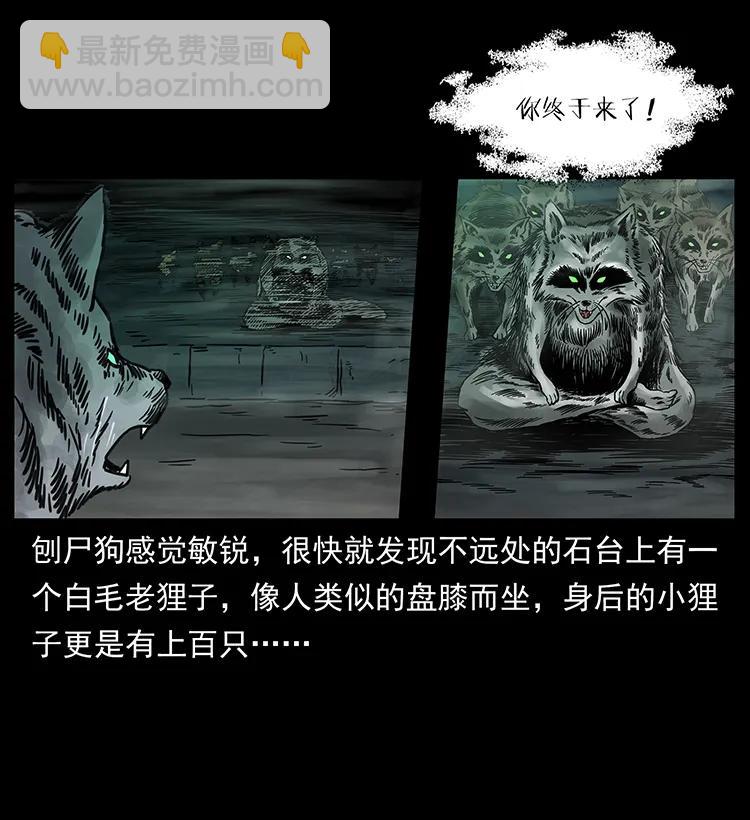 251 刨尸狗遇险71