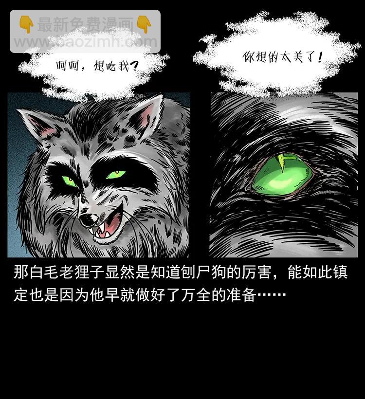 251 刨尸狗遇险74