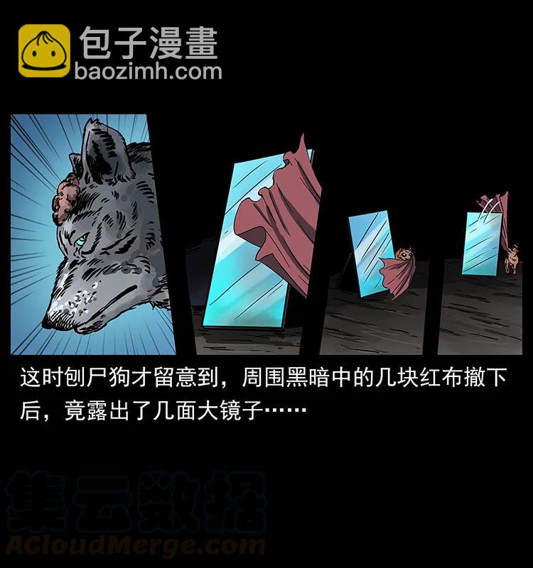 251 刨尸狗遇险76