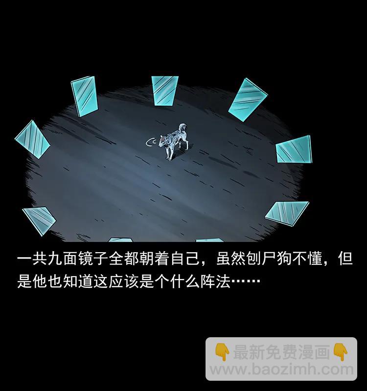 251 刨尸狗遇险77