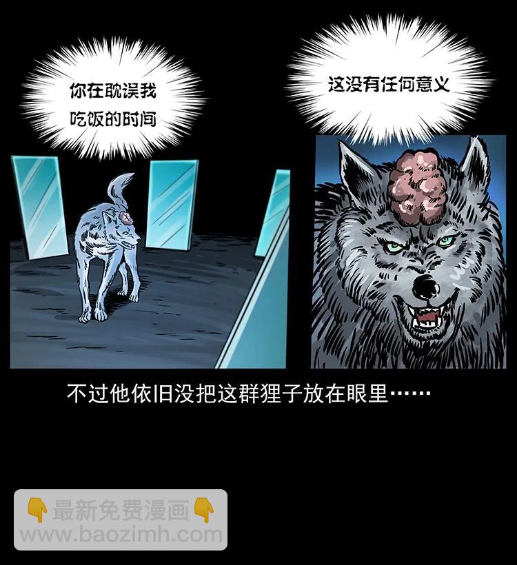 251 刨尸狗遇险78