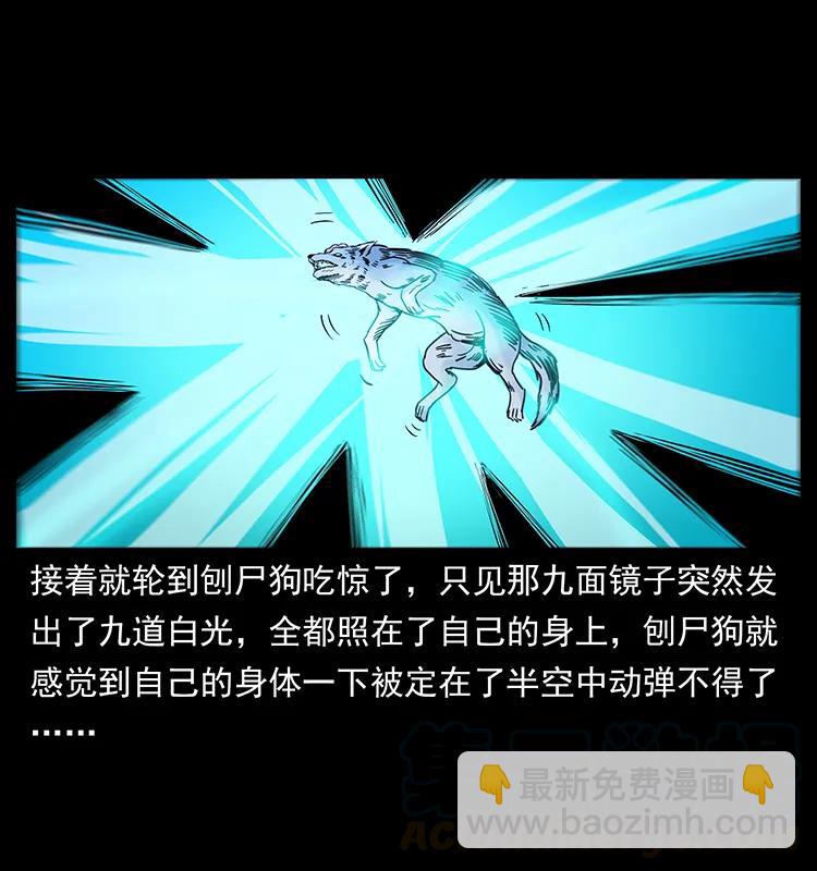 251 刨尸狗遇险80