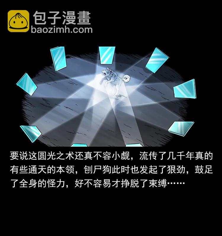 251 刨尸狗遇险81