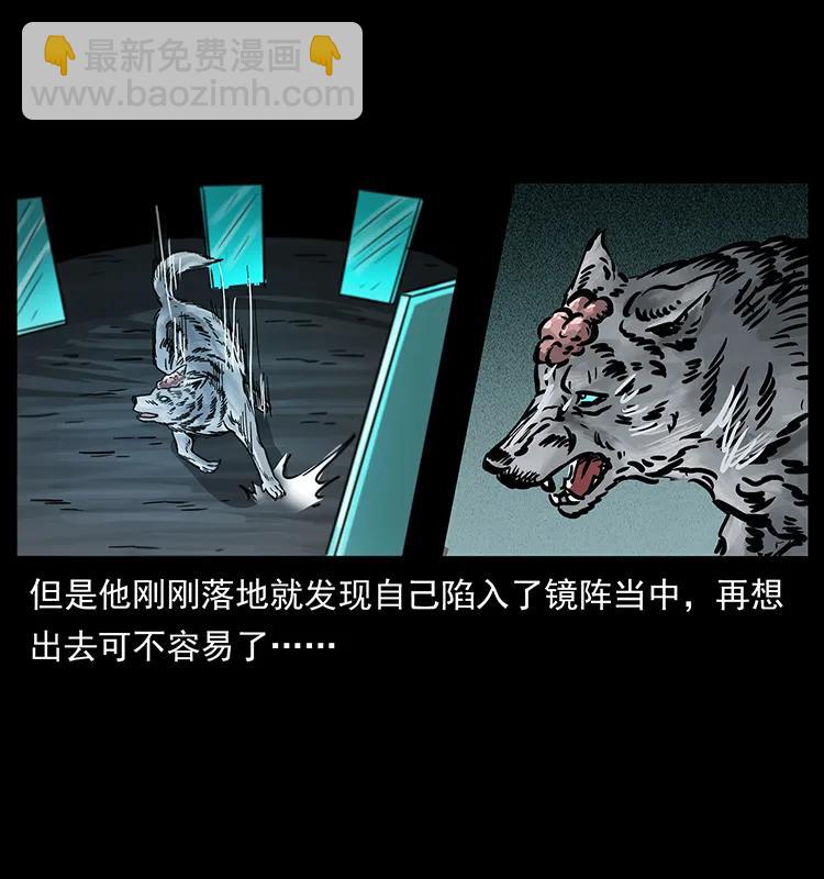 251 刨尸狗遇险82