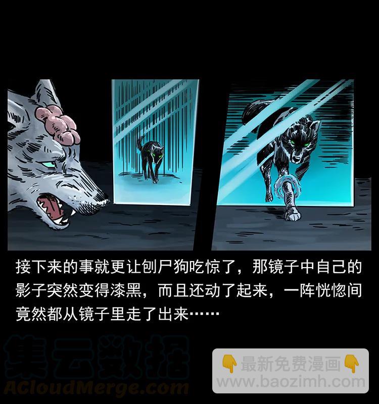 251 刨尸狗遇险84