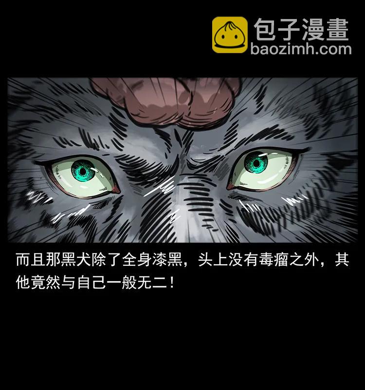 251 刨尸狗遇险85